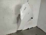 Kotflügel Links Vorne 663110X300 Hyundai i10 Schrägheck 1.1i 12V (G4HG)