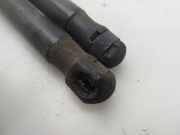 Gasdruckfedern Set Hinten 9801061480 Citroën DS4 (NX) Schrägheck 1.6 e-Hdi 16V 110 (DV6C(9HR))