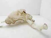 Scheibenwaschbehälter 860142721 Mazda BERL. (CR) 2.0 CRTD Active+ (10kW) 143 CV / 10 KW