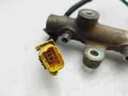 Einspritzdüsen Düsenstock 9655182580 Fiat SCUDO (222) 2.0 JTD SX Kasten 94 CV / 69 KW