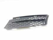Grill BUMPER BUMPER 107061417 BMW SERIE 3 BERLINA (E90) 2.0 16V Diesel CAT 122 CV / 90 KW