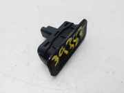 Handgriff Kofferraum 8200076256D Renault Scénic III (JZ) Großraumlimousine 1.2 16V TCe 130 (H5F-404(H5F-B4))