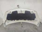Motorhaube 7901R1 Citroën C3 (SC) Schrägheck 5-drs 1.0 Vti 68 12V (EB0(ZMZ))