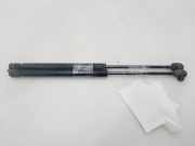 Gasdruckfedern Set Hinten 7700842256 Renault Clio II (BB/CB) Schrägheck 1.9D (F8Q-632)