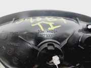 T?rgriff Innen Links Hinten 286730001R Renault Sc?nic III (JZ) Gro?raumlimousine 1.2 16V TCe 130 (H5F-404(H5F-B4))