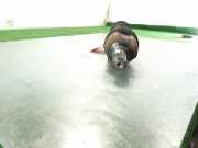 Antriebswelle Links Vorne 495012C111SJ Hyundai Elantra III Liftback 2.0 CRDi 16V (D4EA)