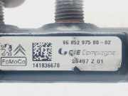 Einspritzdüsen Düsenstock 9685297580 Ford Focus 3 Schrägheck 1.6 TDCi 115 (T1DA)