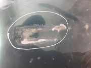 Motorhaube 60100S10306ZZ Honda CR-V (RD1/3) SUV 2.0i 16V VTEC (B20Z1)