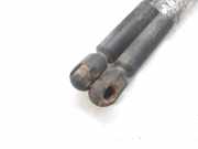 Gasdruckfedern Set Hinten 8731E3 Citroën CITROEN BERLINA 1.9 D SX 69 CV / 51 KW