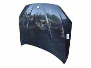 Motorhaube 41002993151 BMW X1 (E84) SUV sDrive 20d 2.0 16V (N47-D20C)