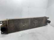 Ladeluftkühler 2141000QAA Renault DESDE ´98 Base. Caja cerrada L1H1 RS 3078 90 CV / 66 KW