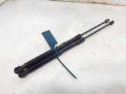 Gasdruckfedern Set Hinten 9801060880 DS DS 4/DS 4 Crossback (NX) Schrägheck 1.6 BlueHDI 120 (DV6FC(BHZ)) DV6FC(BHZ)