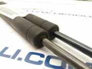 Gasdruckfedern Set Hinten 873186 Peugeot 106 I Schrägheck 1.0i (TU9M-Z(CDZ))