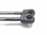 Gasdruckfedern Set Hinten 8200119497 Renault Megane II (LM) Limousine 1.9 dCi 120 (F9Q-800)
