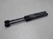 Gasdruckfeder Set Vorne 5123723923306 BMW 1 serie (F20) Schrägheck 5-drs 114d 1.6 16V (N47-D16A)