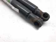 Gasdruckfedern Set Hinten 9800805480 Citroën C4 Cactus (0B/0P) Schrägheck 5-drs 1.2 PureTech 82 12V (EB2(HMZ))