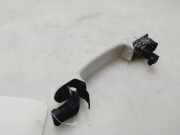 Türgriff Außen Rechts Vorne 5N0837205M Skoda Rapid Liftback 1.6 TDI 16V (CAYC/CLNA) 2015