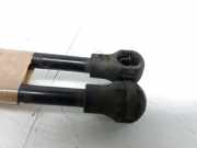 Gasdruckfedern Set Hinten 9683733980 Citroën C3 (SC) Schrägheck 5-drs 1.6 HDi 92 (DV6DTED(9HP))