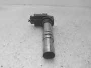 Zündspule 036905715G Volkswagen Polo IV (9N1/2/3) Schrägheck 1.4 16V (BBY) BBY