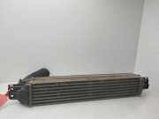 Ladeluftkühler 96629070 Daewoo / Chevrolet Captiva (C100) SUV 2.0 CDTI 16V 127 4x2 (LLW)