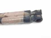 Gasdruckfeder Set Vorne 6254 Peugeot (S2) Long Beach 75 CV / 55 KW
