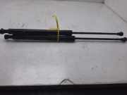 Gasdruckfedern Set Hinten 9683733980 Citroën C3 (SC) Schrägheck 1.4 (TU3AE5(KFT))