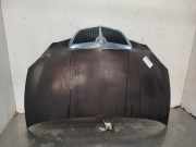 Motorhaube 51872629 Lancia Ypsilon (843) Schrägheck 1.2 (188.A.4000)