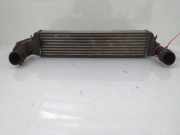 Ladeluftkühler 17512246795 BMW 3 serie (E46/4) Limousine 320d 16V (M47-D20(204D1))