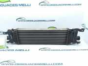 Ladeluftkühler 5S6H9L440AD Ford Fiesta 5 (JD/JH) Schrägheck 1.6 TDCi 16V (HHJA)