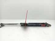 Gasdruckfedern Set Hinten 6895049205 Lexus RX (U3) SUV 400h V6 24V VVT-i FWD (3MZ-FE)