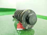Stoßdämpfer Links Vorne 5202W4 Peugeot 206 (2A/C/H/J/S) Schrägheck 1.6 16V (TU5JP4(NFU))
