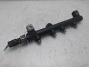 Einspritzdüsen Düsenstock A6640700195 SsangYong Kyron SUV 2.0 M 200 Xdi 16V 4x4 (D20DT(OM664.950))