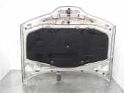 Motorhaube 7751471641 Renault Laguna II (BG) Schrägheck 5-drs 1.9 dCi 100 (F9Q-752)