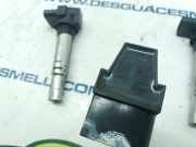 Zündspule 036905715F Volkswagen Polo IV (9N1/2/3) Schrägheck 1.4 16V (BBY) BBY