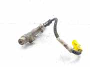 Einspritzdüsen Düsenstock 9657017680 Citroën Berlingo Van 2.0 HDi 90 (DW10TD(RHY))