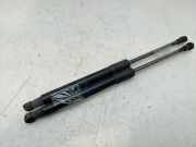 Gasdruckfeder Set Vorne 51232990344 BMW X1 (E84) SUV sDrive 18d 2.0 16V (N47-D20C)