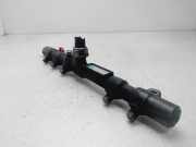 Einspritzdüsen Düsenstock A6658700495 SsangYong Rodius Großraumlimousine 2.7 270 Xdi 20V 4x2 (M665.925(Euro 4))