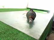 Antriebswelle Rechts Vorne 495002D613SJ Hyundai Elantra III Liftback 2.0 CRDi 16V (D4EA)