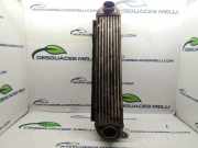 Ladeluftk?hler PML500011 Land + Range Rover Discovery III (LAA/TAA) Gel?ndewagen 2.7 TD V6 (276DT)