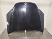 Motorhaube 651000021R Renault Laguna III (BT) Schrägheck 5-drs 2.0 dCi 16V 130 (M9R-742)