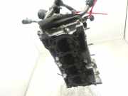 Zylinderkopf MR20DE Nissan Qashqai (J10) SUV 2.0 16V (MR20DE)