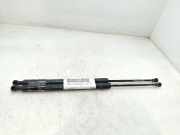 Gasdruckfedern Set Hinten 904500004R Renault Scénic III (JZ) Großraumlimousine 1.6 16V (K4M-858(K4M-R8))
