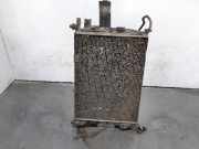 Radiator 21410JD50C Nissan Qashqai (J10) SUV 1.5 dCi (K9K-292) 2008