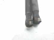 Gasdruckfedern Set Hinten 2S61A406A10AC Ford Fiesta 5 (JD/JH) Schrägheck 1.4 16V (FXJB)