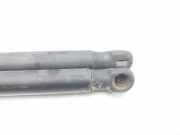 Gasdruckfedern Set Hinten 2S61A406A10AC Ford Fiesta 5 (JD/JH) Schrägheck 1.3 (A9JA)