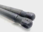 Gasdruckfedern Set Hinten 31395910 Volvo V60 I (FW/GW) Kombi 2.4 D5 20V Plug-in Hybrid (D5244T15)