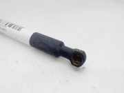 Gasdruckfeder Set Vorne 8200299546 Renault Clio III (BR/CR) Schrägheck 1.2 16V 75 (D4F-740)