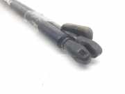 Gasdruckfedern Set Hinten 1640344 Ford BERLINA CL 88 CV / 65 KW