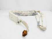 Vorhang Airbag Rechts VOOR 1P0880742 Seat Leon (1P1) Schrägheck 5-drs 1.9 TDI 105 (BKC)