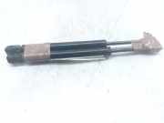 Gasdruckfedern Set Hinten 51241960862 BMW 3 serie (E36/2) Coupé 325i 24V (M50-B25(256S2))